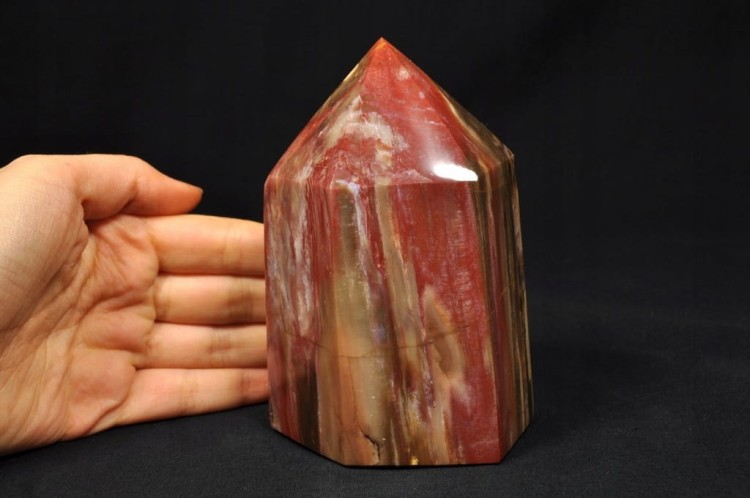 005369138a80fb026154b4d56639396a