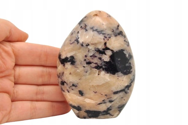 d23c47d2e92fee9d5d188514fbc7c255