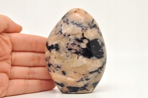 22f1b0b61f9704988d93844b35552e8a