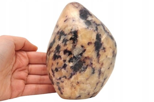 b11683191a68e86f2a229dd8d7492e92