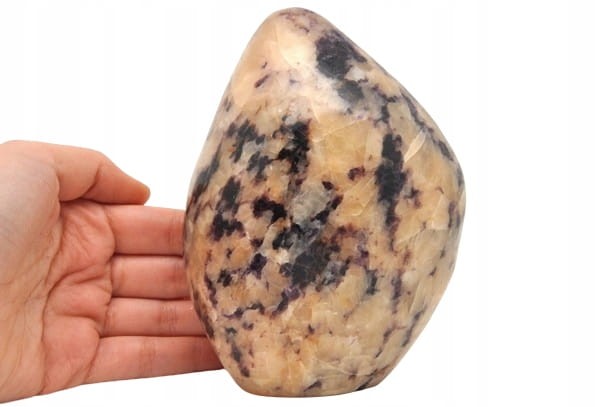 b11683191a68e86f2a229dd8d7492e92