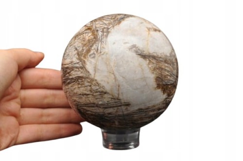 433385f5b93114d2d8af5193f6b3f50a