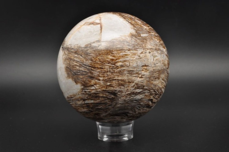 118bdd4f3ae9cc6e972762b761c384c2