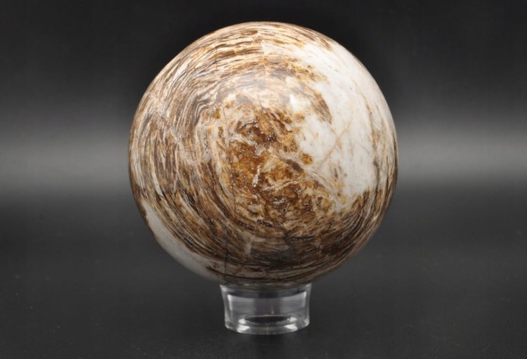 0ca2acb70a8be9e40ca483efcd826157