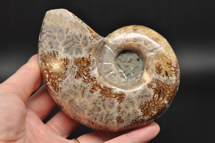 6b12376f35ab6e6830cfbdb0591e71fc