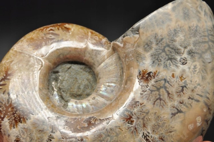 27cdf3bbb323e5038c60b2c9871395fd