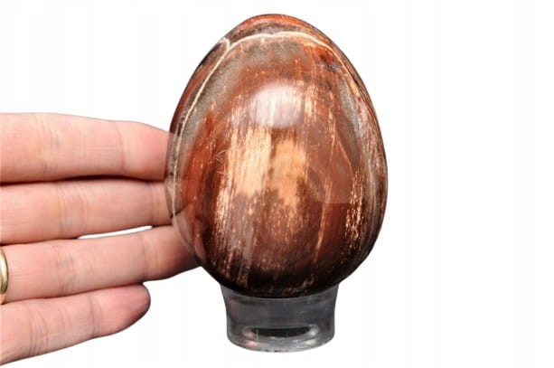 146ead040cb9cbb1df190cae9af99ff7