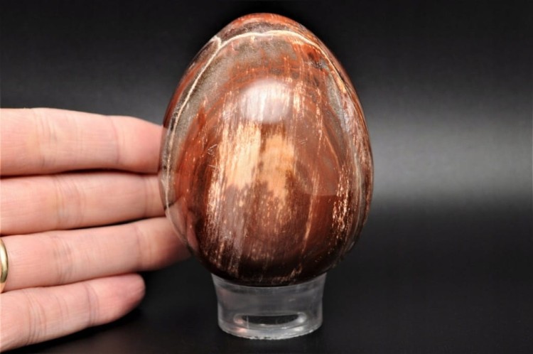 919c75e3bf01d3a3cfe5d984279cfff0