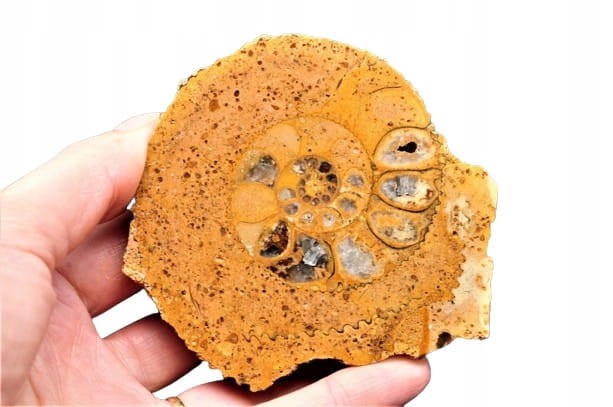 f182e5c524d9f294feb57bf5f1510928