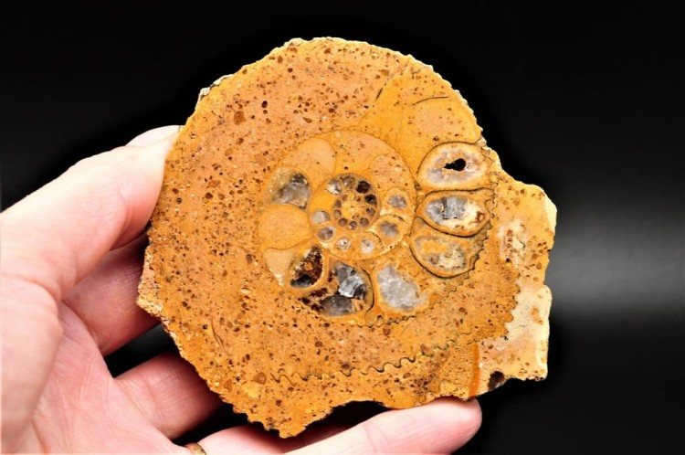 9312b082f38d24d568309356398e1d60