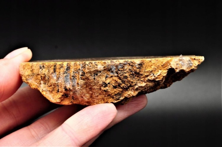 5d48f003f8387a77d6e84b4276de9867