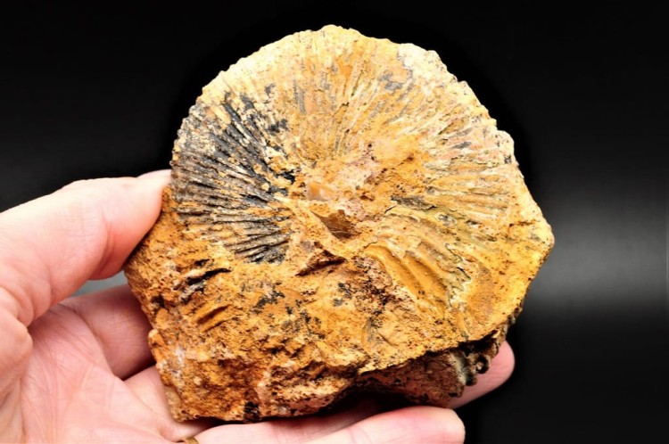 aa41d5384ced2be4dc2b92122bf58213