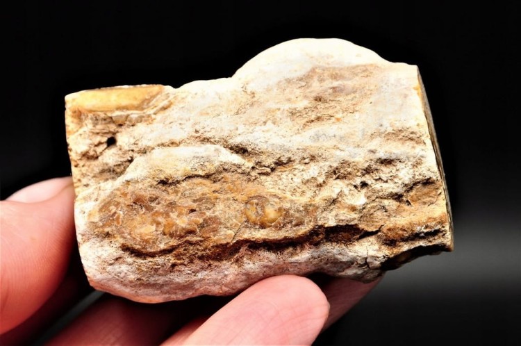 793771d5cc15534df3d983d4f08c6f11