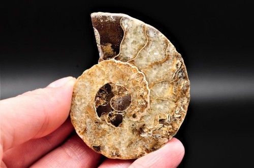 e5afdc33b32d93b2902f73fca8c715e3