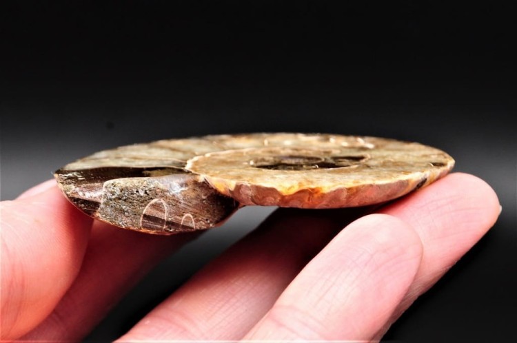 c15d6b1fba88599ad3c03d986b2408f6