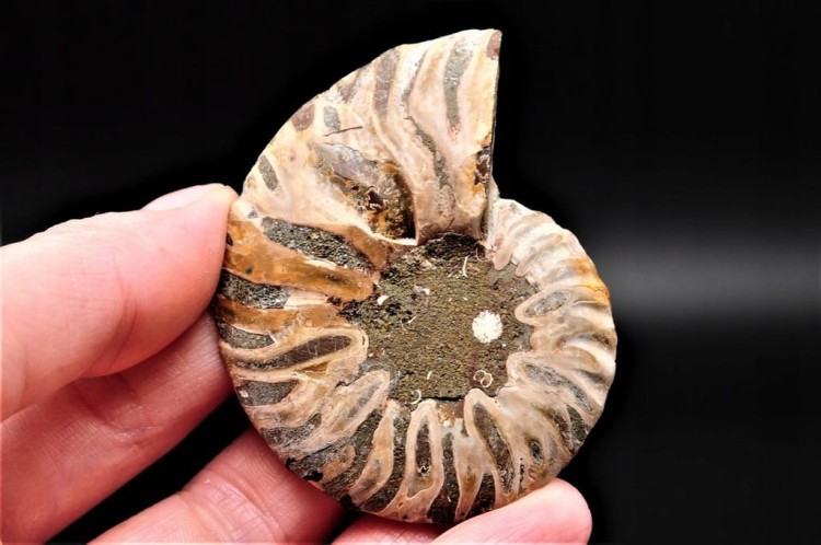 a12b42c3eca74c5456971162c51a0a8d