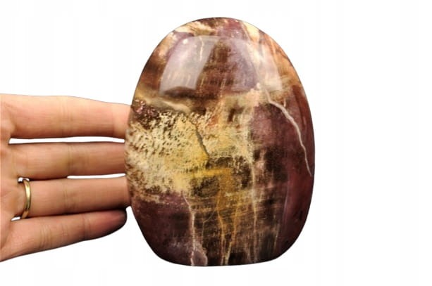 401bd96254700a479bec37d6f6a2a00c