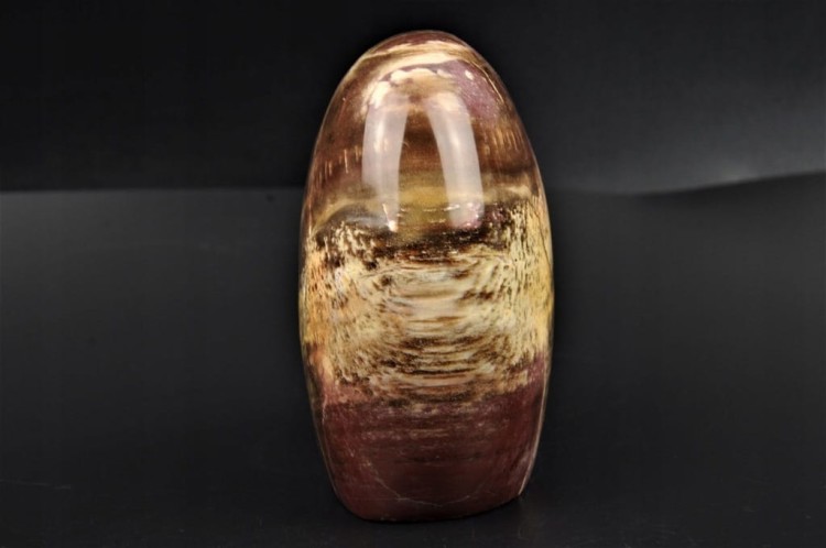 5d572988b50d5928ef86b396ae2a9424