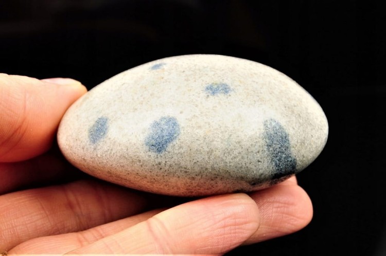 9c1f1da2b7e0f15a983e434395f64595