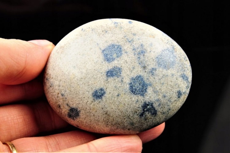 a13d329ea56d3c34319a342fe12c1d66