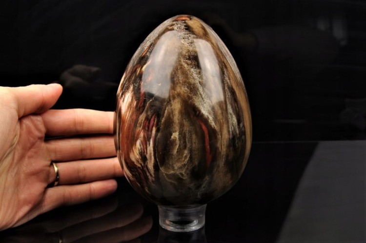 14d3123aa9f074c913bbb9930ec43e86