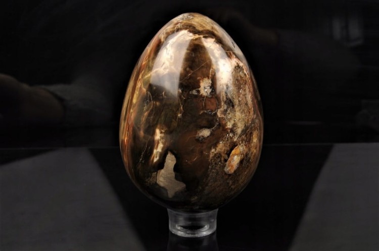 39db9cf94931a67cf75240cfe7fcd134