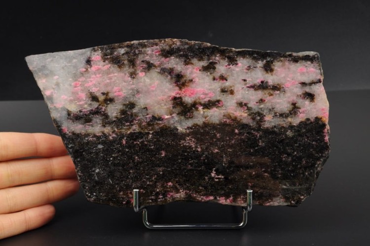 a242a955dff37d51cb572ebcf2392e31