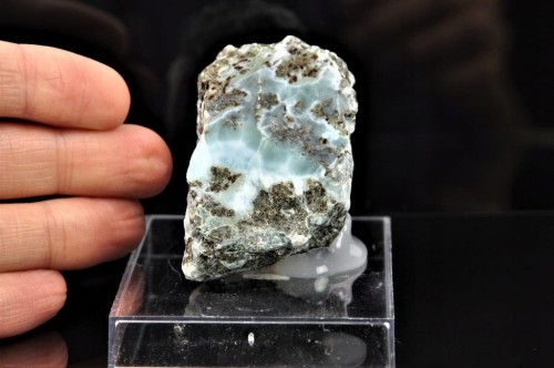 b99e4412a6ee8021679f5acadcf8146b