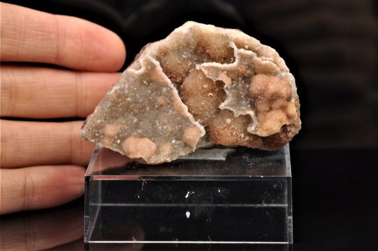 9d26353f4eea7754aab8b9c5a54908ef