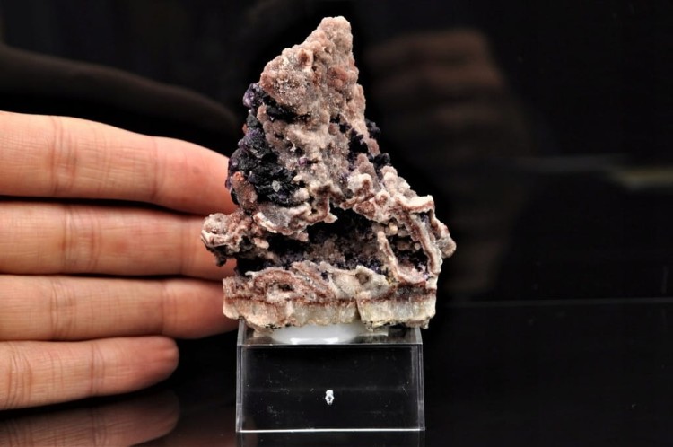 a2ca2aacaeb5b6bbb6c3d563338949a9