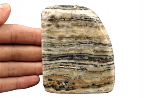 4960fbb3c1c2548cf06e9fb2cba0b578