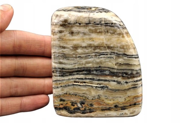 4960fbb3c1c2548cf06e9fb2cba0b578