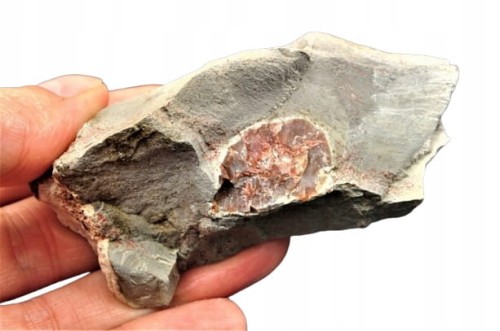 5df86345a92dcc821c96398a2417c2fd