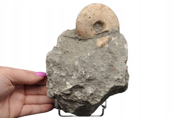 47ac9d16ce094b6fd4df672e8e9b953c