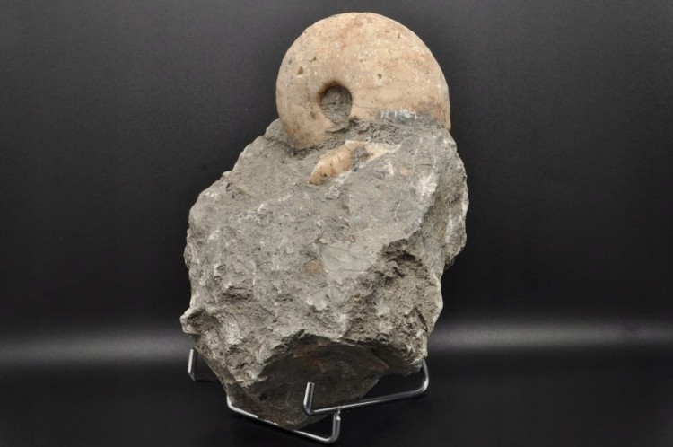 9cadabb1e9668cc74d43857966ab22e7