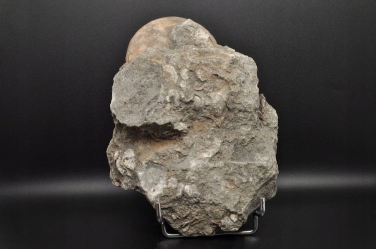 25a138869e8fbf5082855b85a4b63287