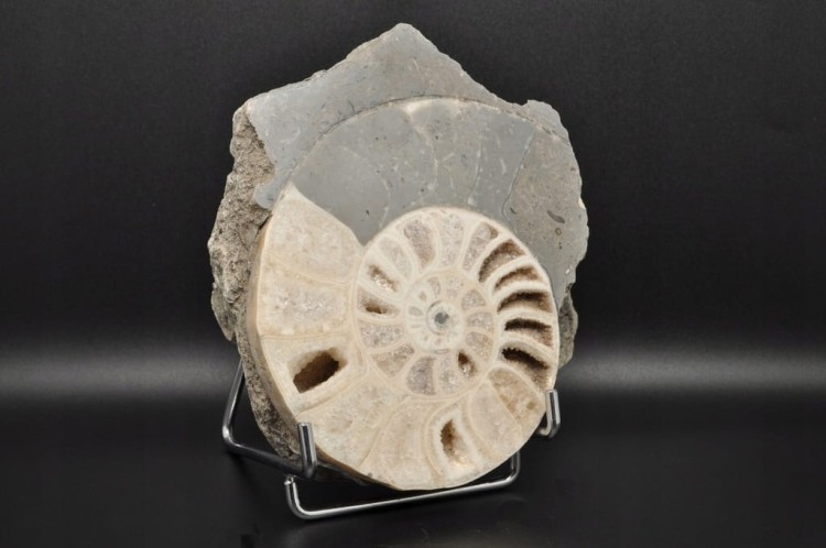 96f61a7698789b24c7acfb69b612f1e9