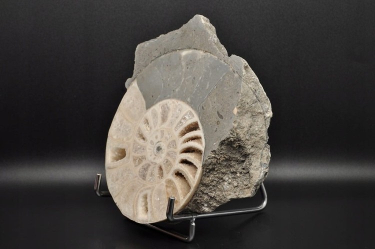 fda9f10c7b0ec5a1e2d379a4dde55482