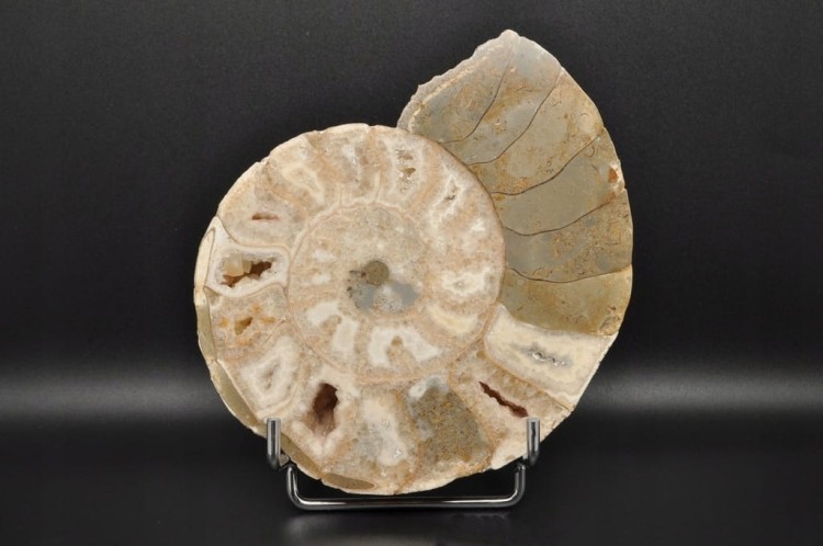 43640786726475bb7e8a9956bda606b0