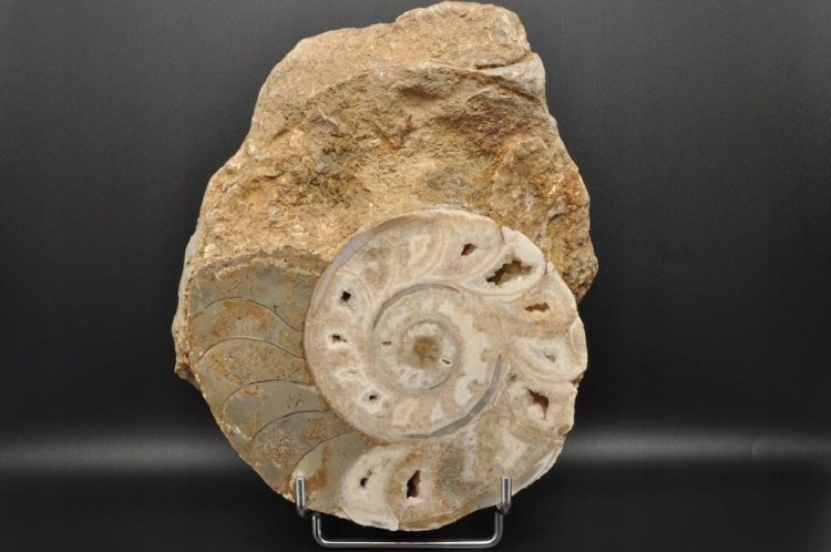 9e19115e715162f7d37de3b79a4de79d