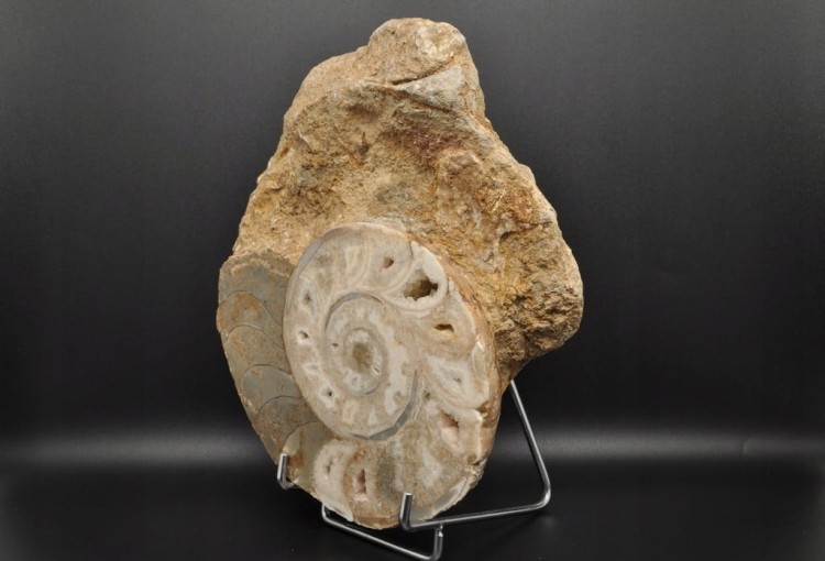 4b1ecadf1f4f2b785ef7e1bc87229f7e