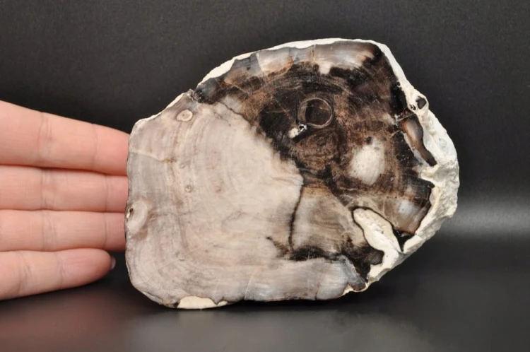 b1f901dc192b642e87207c948dc6e29b