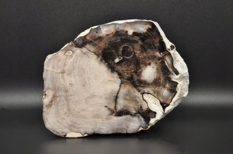 f08ba09f967202bf420f2d7f84ad2c18