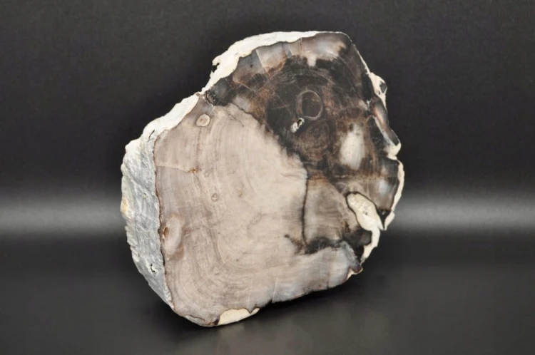 f398d999aff6f97f0fb8b9a4222c4c0c