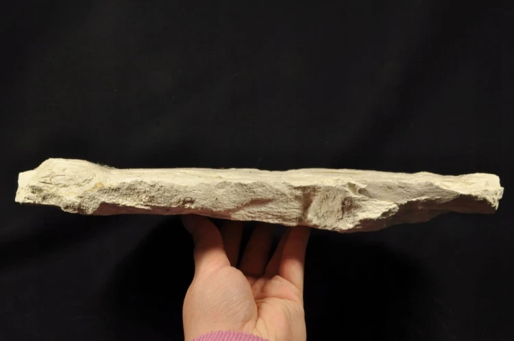 d79c82ab3463a9d2b7795492025186c4