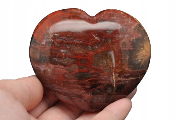 1dbe7e5263d726497aff40aea2094200