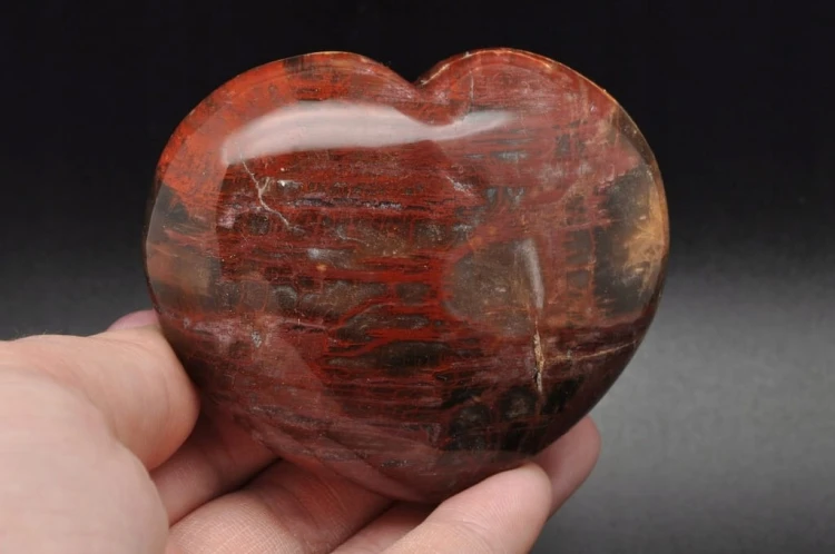 23d907b6ba30f1f642480e3ed55c27d0