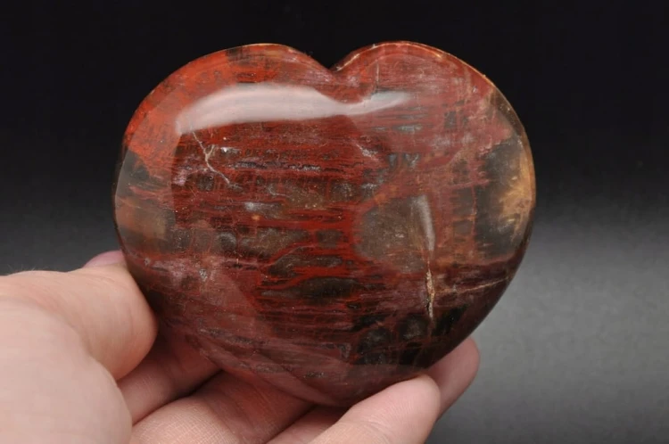 59a8752c78a1b5e5edc5073f1b89741e