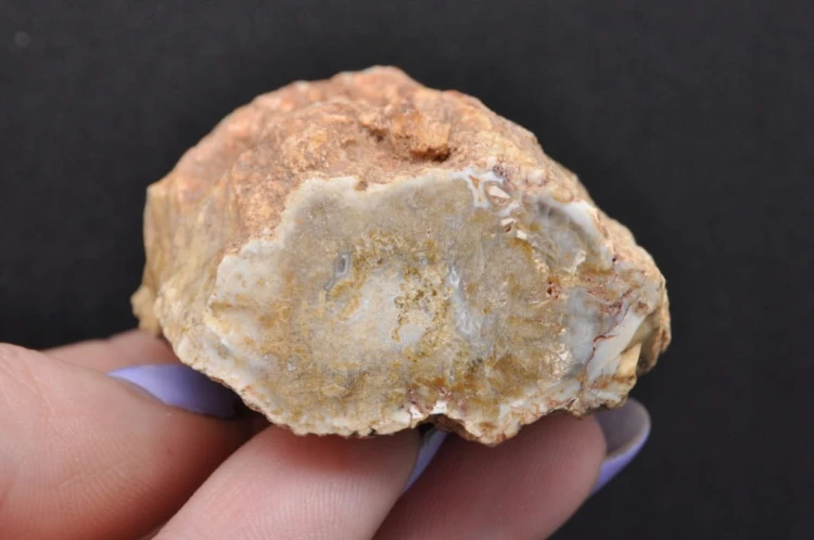 3a12e73a672e9246571594626c95e442