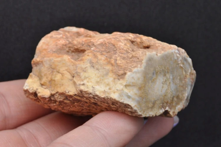 ef1e902fe7884326307efbc7175f53ee